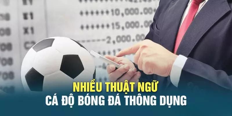 Thuật ngữ cá cược bóng đá cho những kèo cơ bản